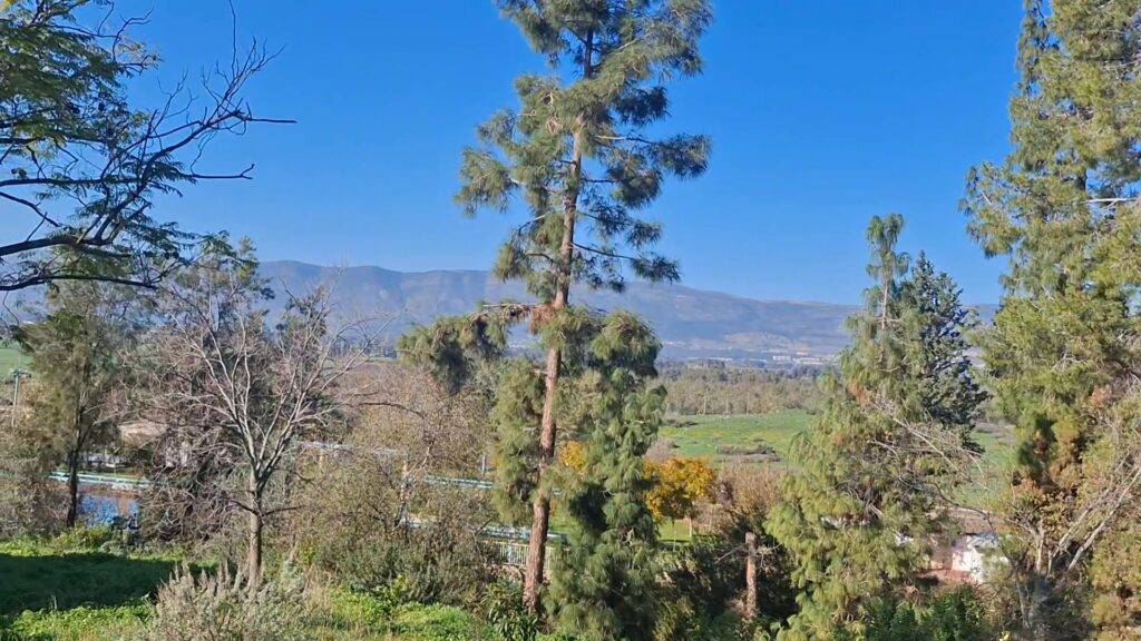 תמונה לפוסט למכירה בקיבוץ כפר סאלד בית קרקע