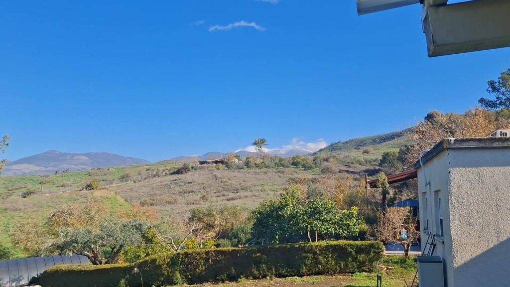 Thumbnail-reel 11012026.jpeg