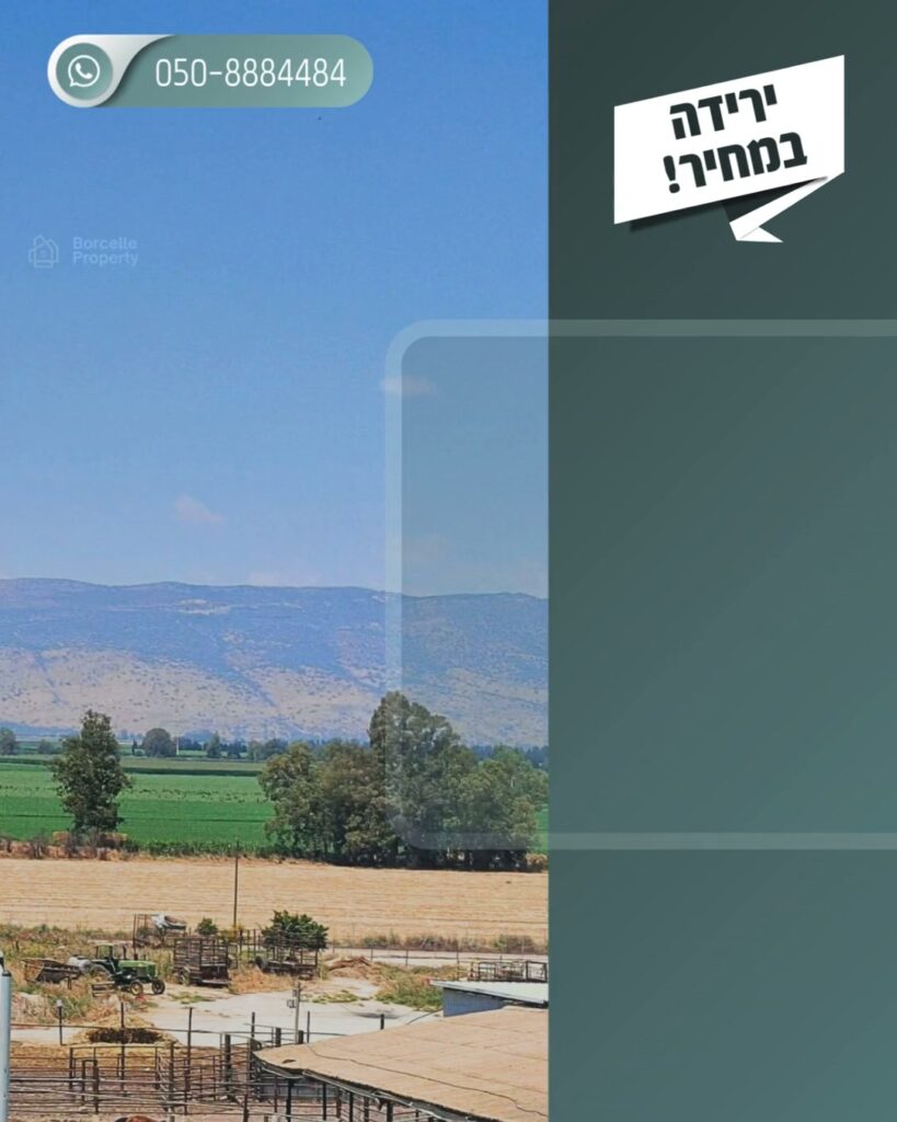 תמונה לפוסט חברות וחברים, למכירה ארבעה נכסים