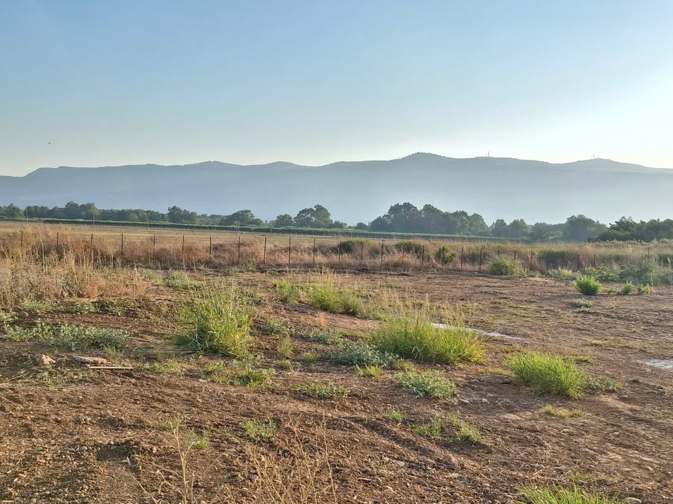 תמונה לפוסט למכירה בבלעדיות בהרחבה בקיבוץ הגושרים. מגרש